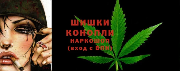 шишки Горнозаводск