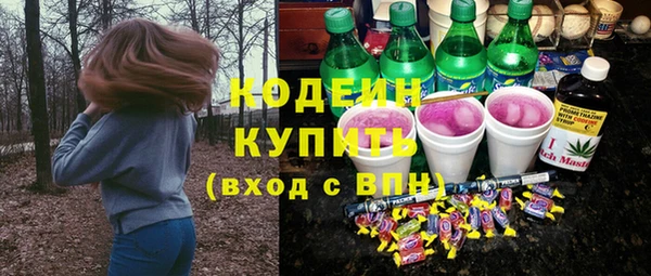 шишки Горнозаводск