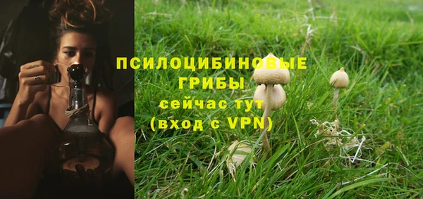 шишки Горнозаводск