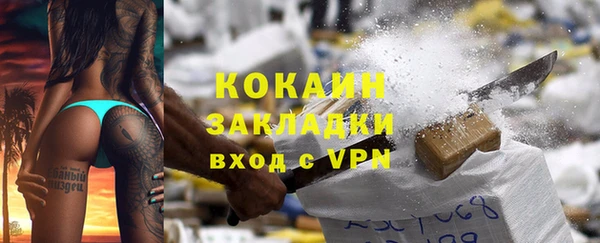 шишки Горнозаводск
