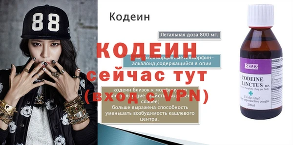 шишки Горнозаводск