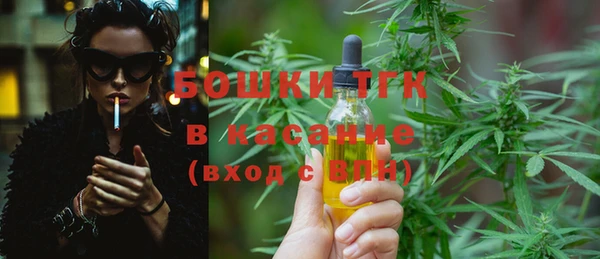 шишки Горнозаводск